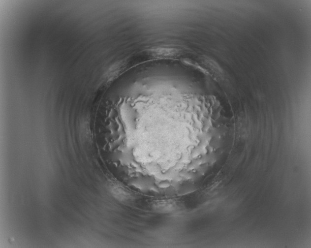 X0000067340377200603311132