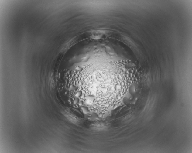 X0000067340381200603311132