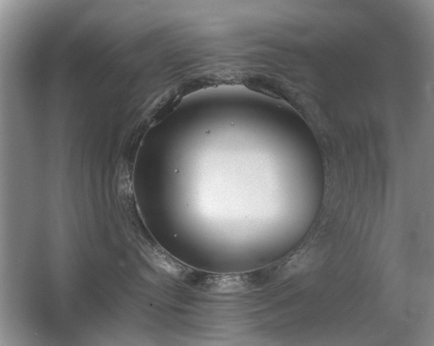 X0000067340384200603311132