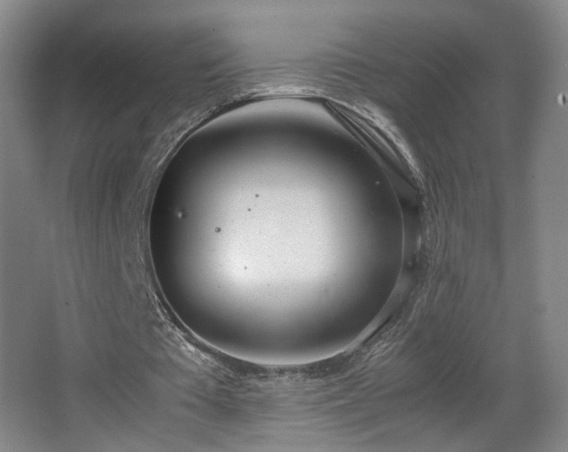 X0000067340385200603311132