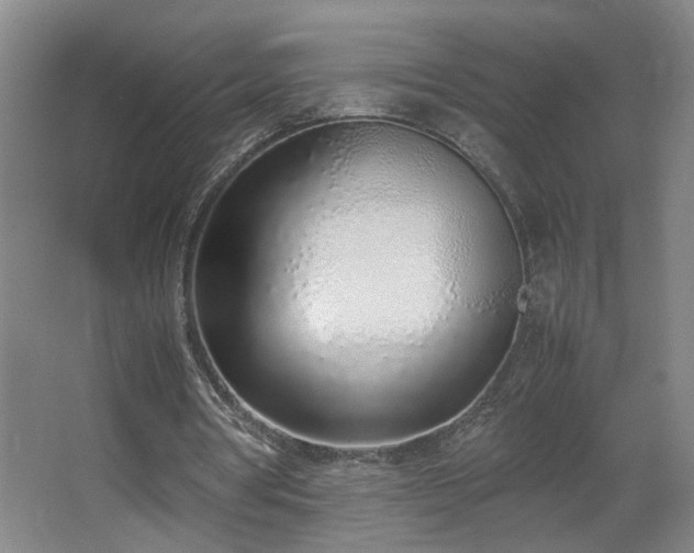 X0000067340386200603311132