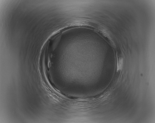 X0000067340387200603311132