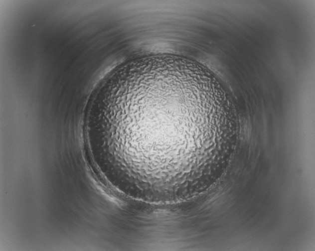 X0000067340390200603311131