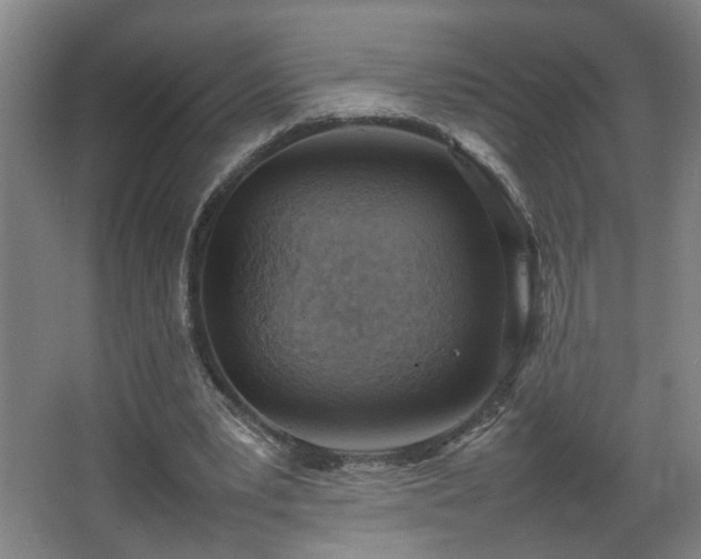 X0000067340391200603311131