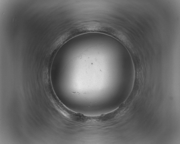 X0000067340397200603311131