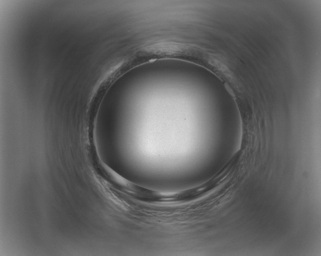 X0000067340399200603311131
