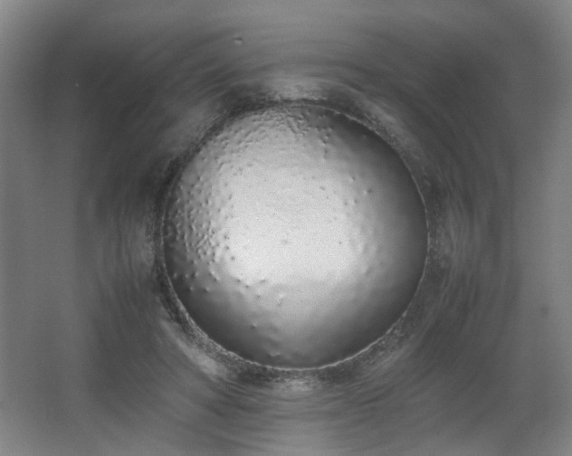 X0000067340402200603311131