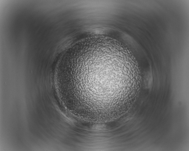 X0000067340410200603311131