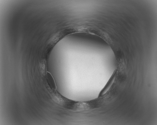 X0000067340427200603311131