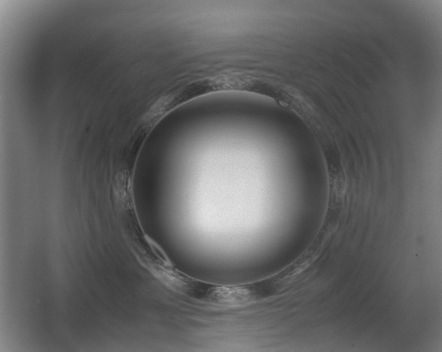 X0000067340429200603311131