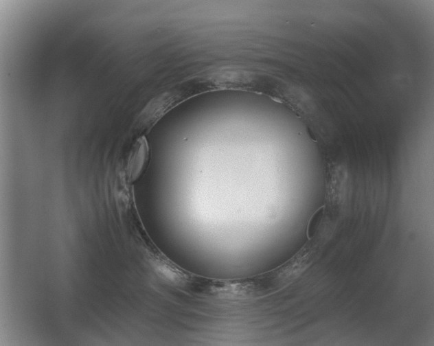 X0000067340430200603311131