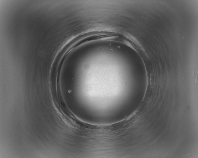 X0000067340436200603311130