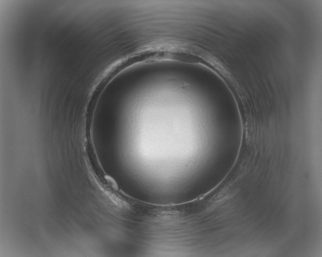 X0000067340438200603311130