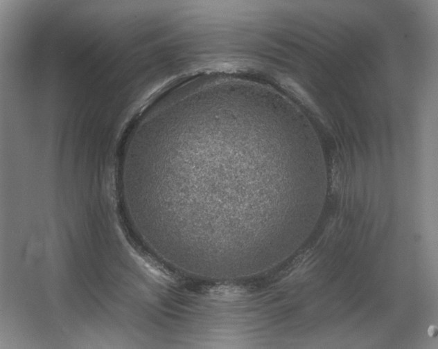 X0000067340444200603311130