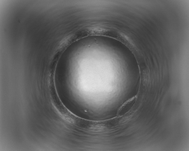 X0000067340451200603311130