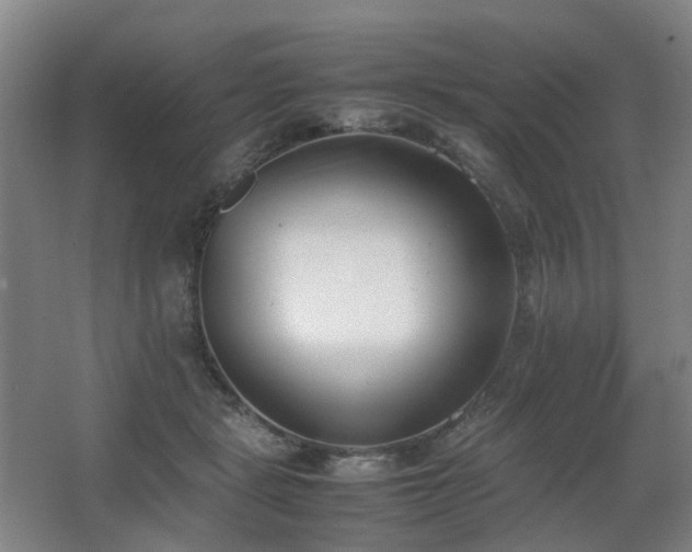 X0000067340461200603311130