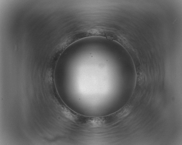 X0000067340466200603311131