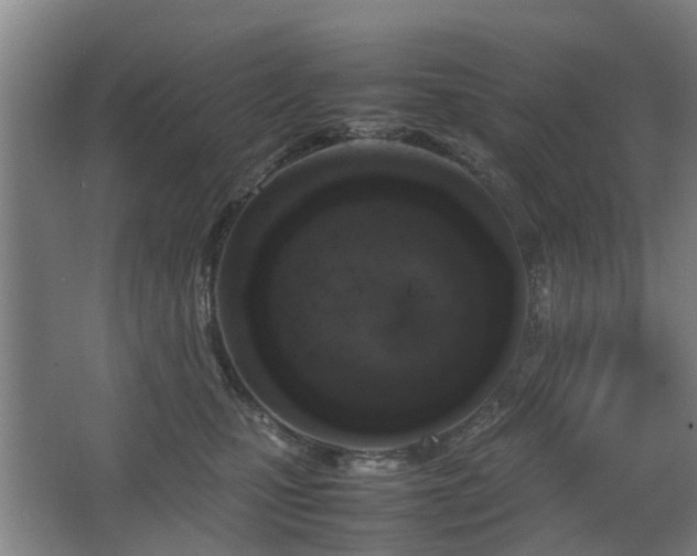 X0000067340471200603311131
