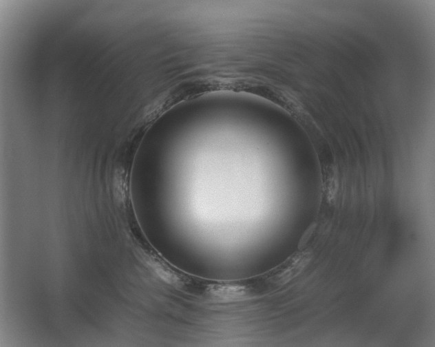 X0000067340476200603311131