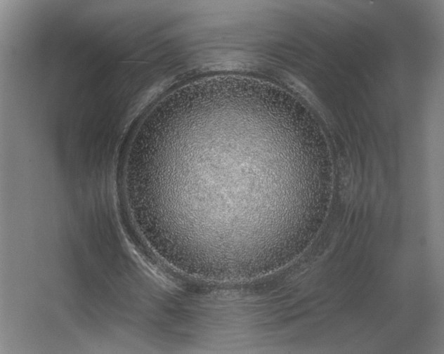 X0000067340482200603311130