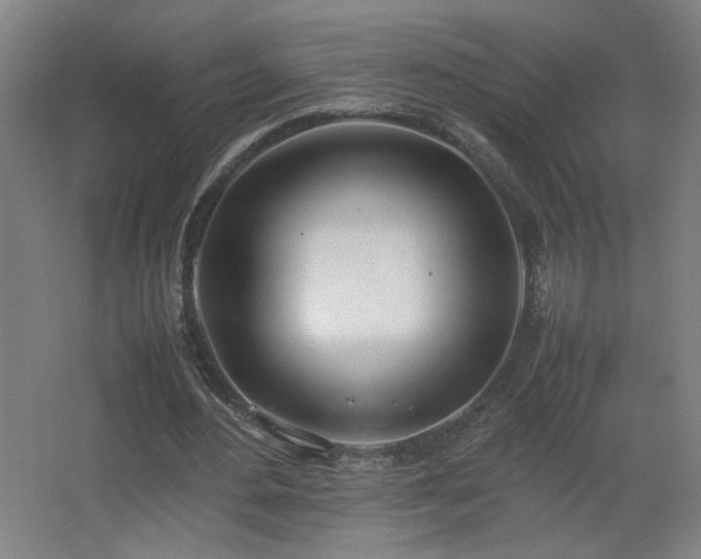X0000067340484200603311130