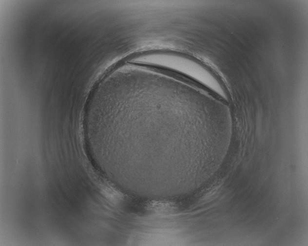X0000067340487200603311130