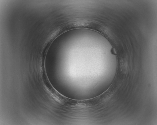 X0000067340490200603311130