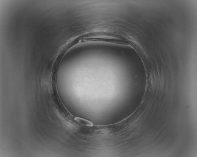 X0000067340492200603311130