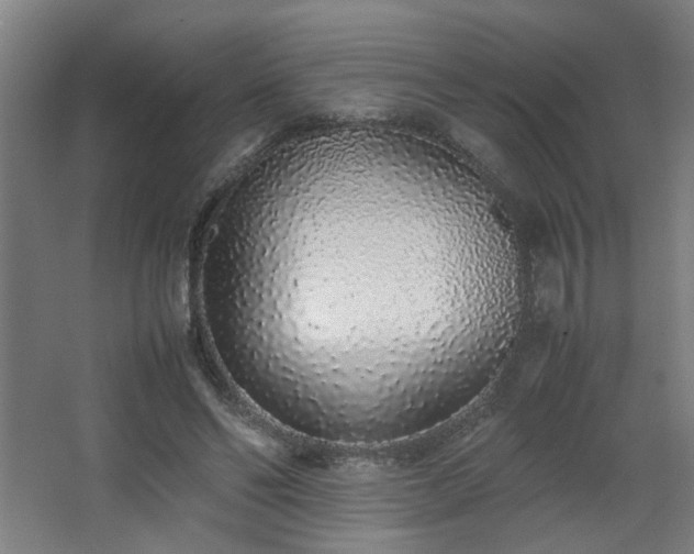 X0000067340494200603311130
