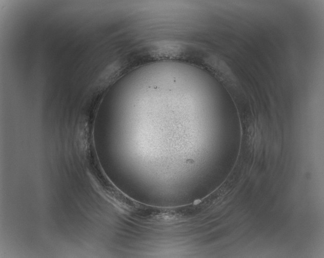 X0000067340498200603311130