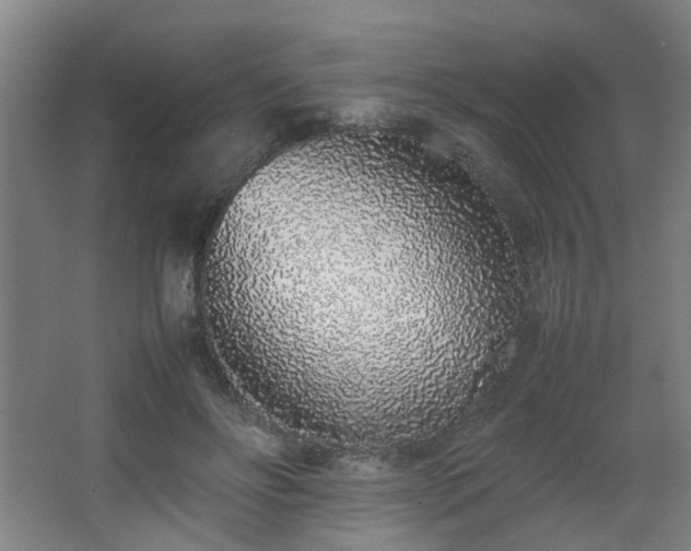 X0000067340502200603311130