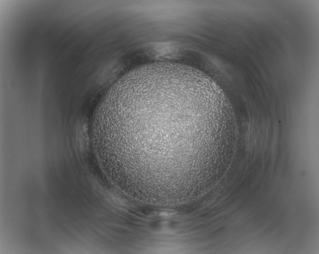 X0000067340506200603311130