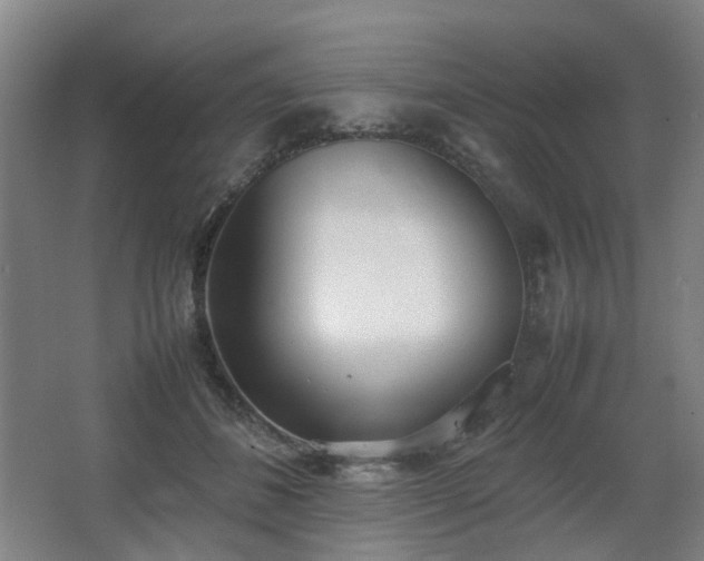 X0000067340508200603311129