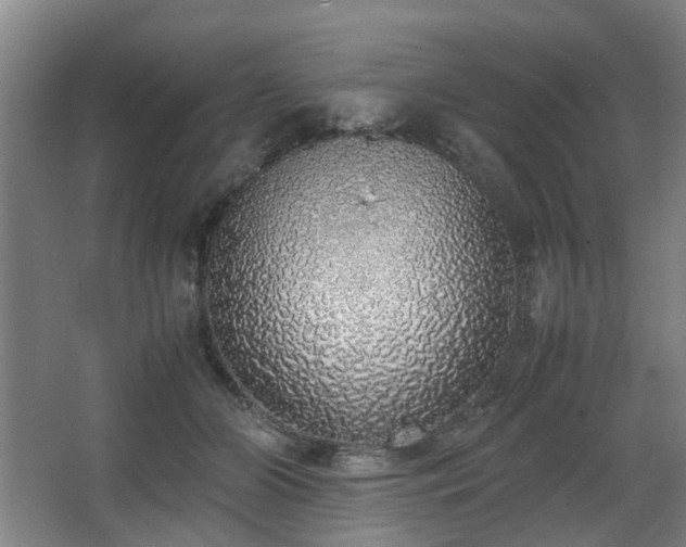 X0000067340510200603311129