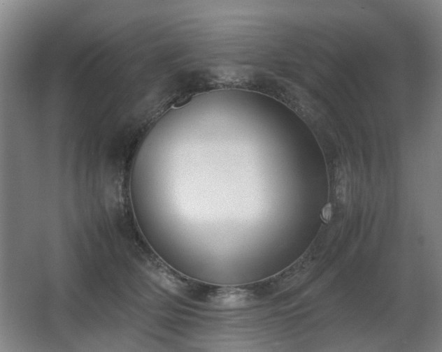 X0000067340514200603311129