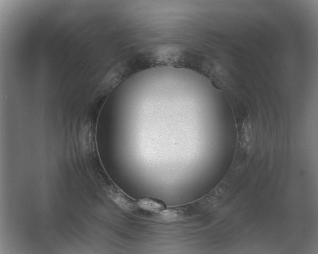 X0000067340522200603311129