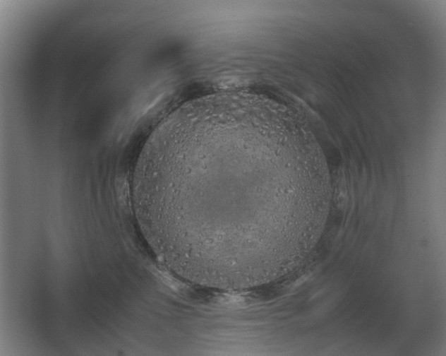 X0000067340523200603311129