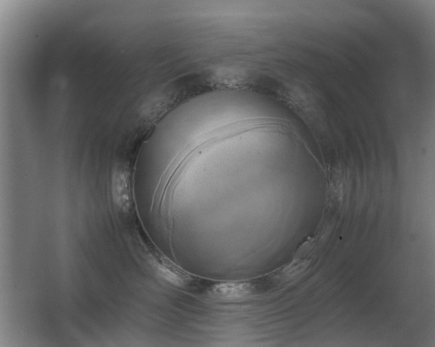 X0000067340526200603311129