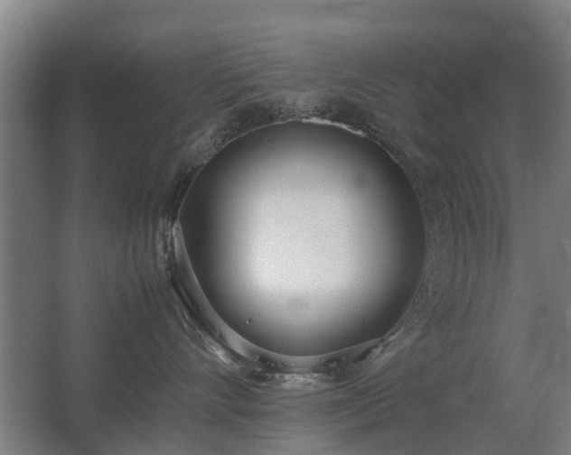 X0000067340528200603311129