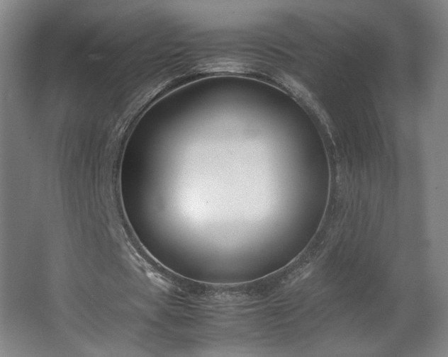 X0000067340529200603311128