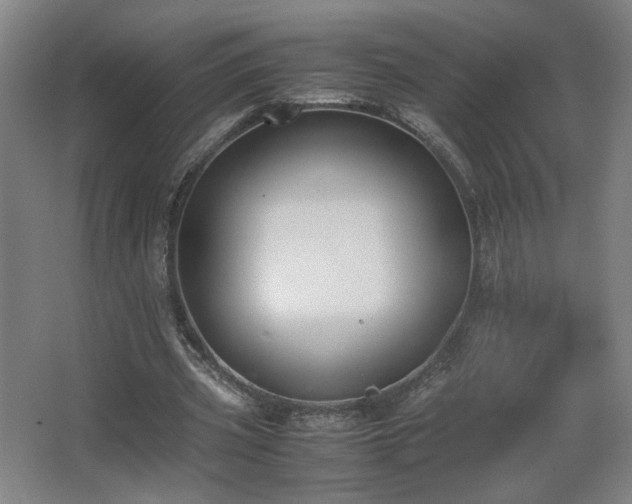 X0000067340533200603311128