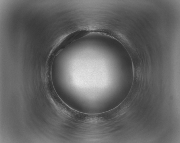 X0000067340540200603311129