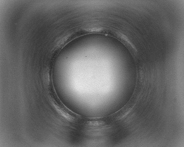 X0000067340541200603311129