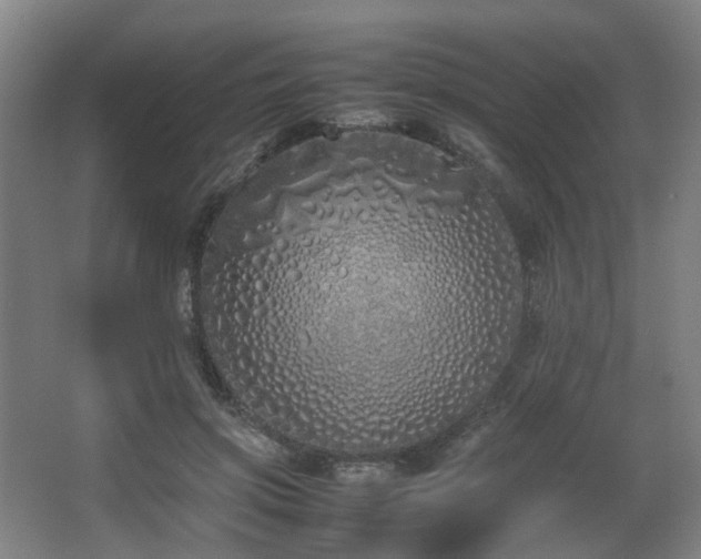 X0000067340549200603311129
