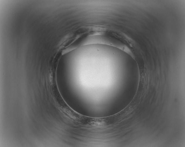 X0000067340552200603311129