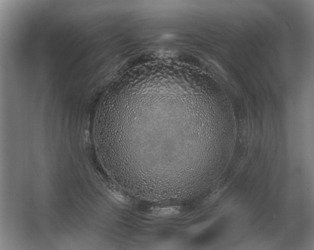X0000067340553200603311129