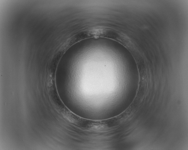 X0000067340555200603311129