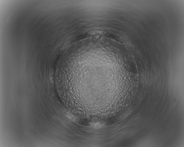 X0000067340561200603311129