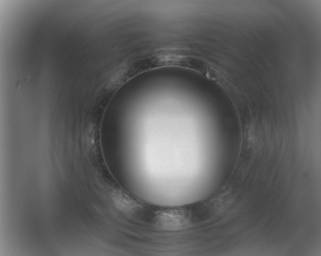 X0000067340567200603311129