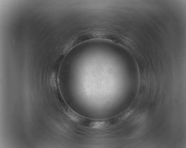 X0000067340575200603311129